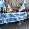 Roma 28 ottobre 2009